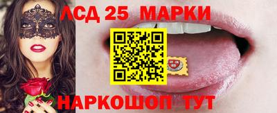 гидропоника Краснознаменск