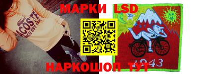 гидропоника Краснознаменск