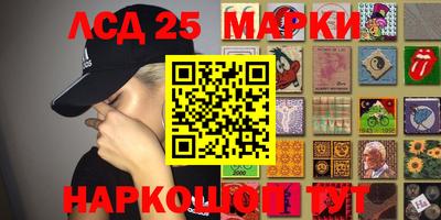гидропоника Краснознаменск