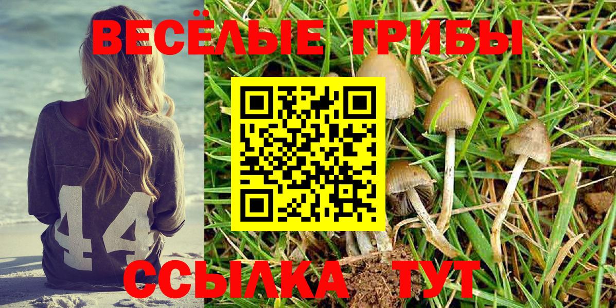 Конаково  Псилоцибиновые грибы GOLDEN TEACHER  магазин продажи наркотиков  Вход с VPN  Псилоцибиновые грибы GOLDEN TEACHER 